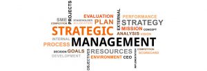 fungsi management strategi