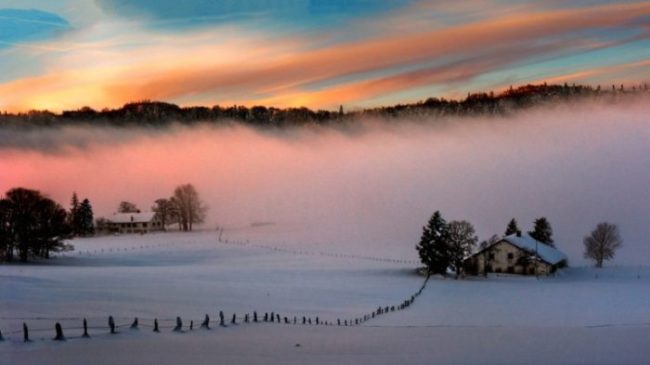 quote inovasi bisnis